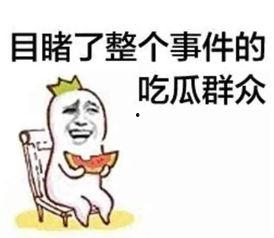 娱乐吃瓜君被告什么意思,被告背后的真相揭秘